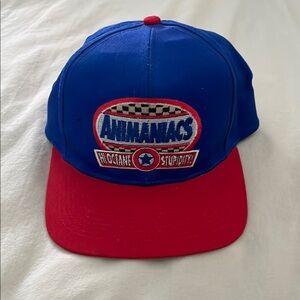 Vintage 1995 Animaniacs Hat